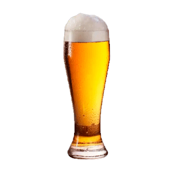 Fruit Beer 450ml